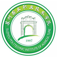 学校论文排版规范
