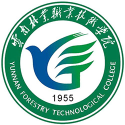 学校论文排版规范