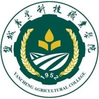 学校论文排版规范